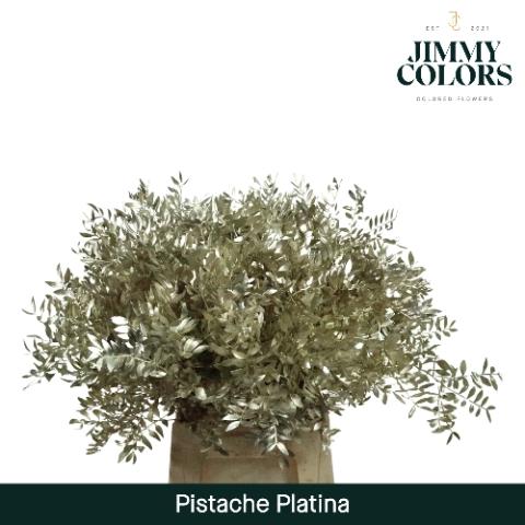 Pistacia kleurbehandeld H%