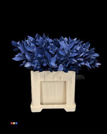 Ruscus kleurbehandeld H%