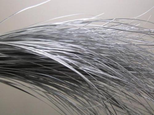 Xerophyllum tenax Beargrass kleurbehandeld per bos H%