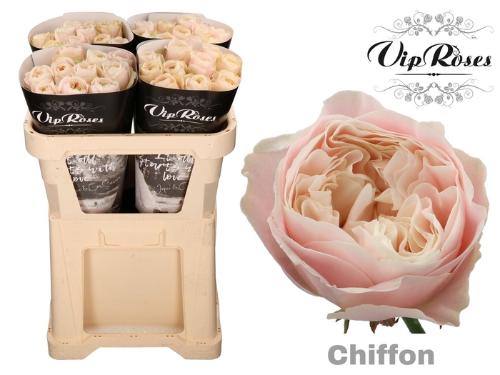 Rosa grootbloemig Chiffon