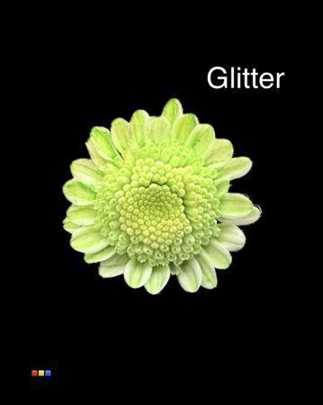 Chrysanthemum Indicum Grp tros kas kleurbehandeld H%