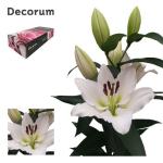 4ddaf1de-c7e4-43dc-aeec-b025ae2ae756.jpg