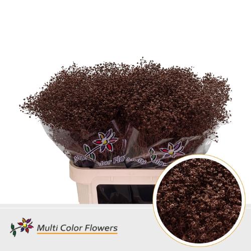 Gypsophila overig kleurbehandeld H%