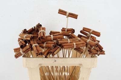 Huis en tuindecoratie overig H%