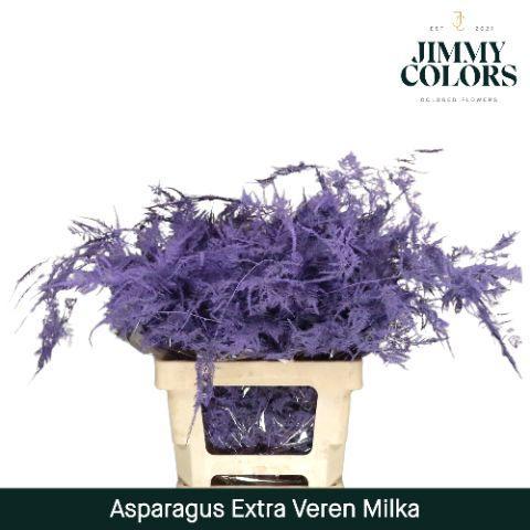 Asparagus overig kleurbehandeld H%