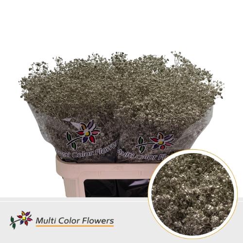 Gypsophila overig kleurbehandeld H%