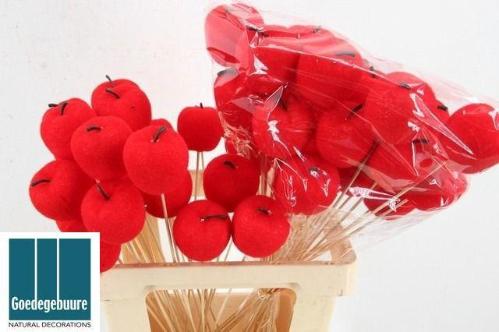 Huis en tuindecoratie overig H%