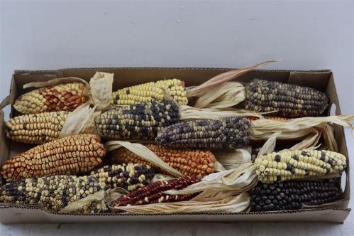 Siervruchten per stuk Zea mays 6%