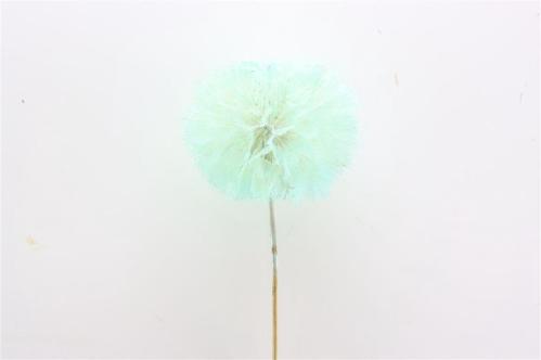 Decoratiegroen kleurbehandeld per bos H%