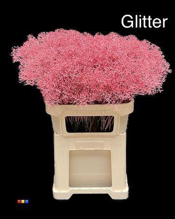 Gypsophila overig kleurbehandeld H%