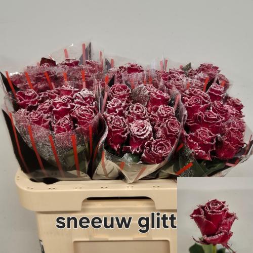 Rosa grootbloemig gewaxt H%