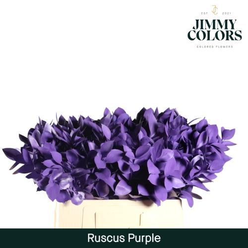 Ruscus kleurbehandeld H%