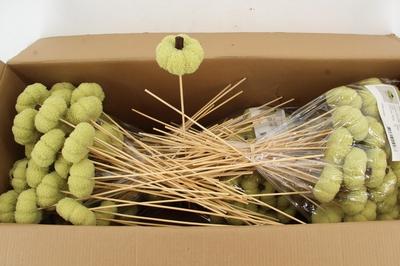 Huis en tuindecoratie overig H%