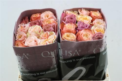 Rosa grootbloemig gemengd in bos