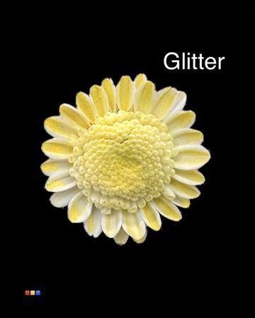 Chrysanthemum Indicum Grp tros kas kleurbehandeld H%