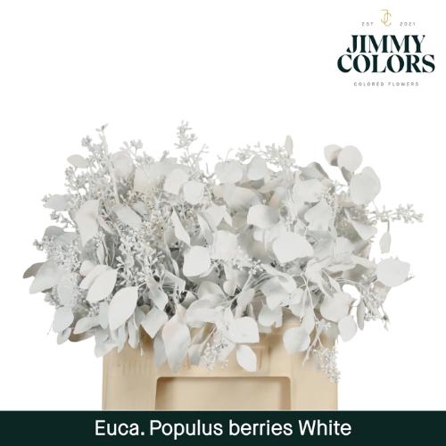 Eucalyptus kleurbehandeld per bos H%