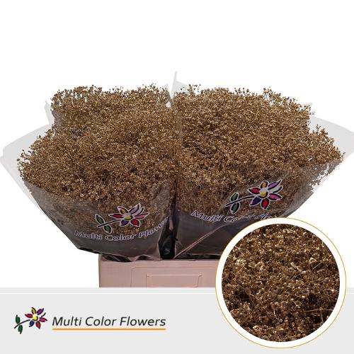 Gypsophila overig kleurbehandeld H%