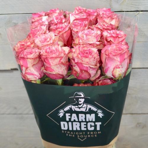 Rosa grootbloemig overig