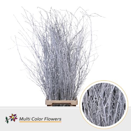 Betula kleurbehandeld H%