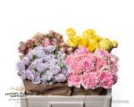 51bd6780-a315-4ad8-80a9-b81ed0181149.jpg