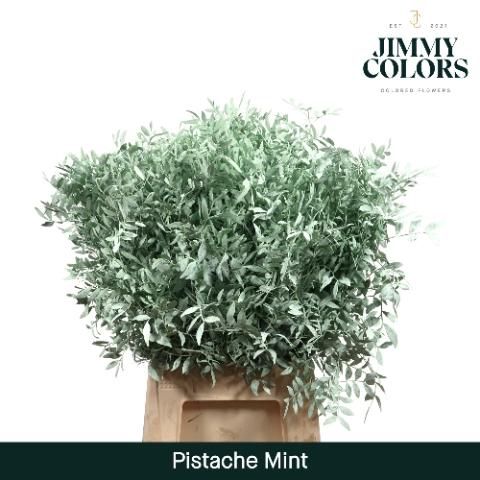 Pistacia kleurbehandeld H%