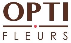 Gerbera grootbloemig gemengd 2 kleuren per doos