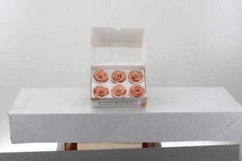 Rosa grootbloemig kleurbehandeld H%
