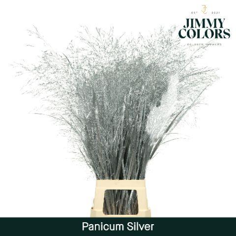 Siergras kleurbehandeld H%