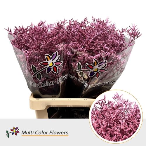 Limonium overig kleurbehandeld H%