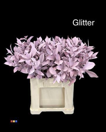 Ruscus kleurbehandeld H%