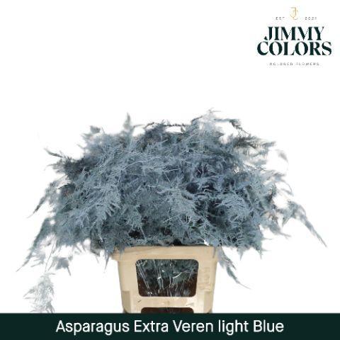 Asparagus overig kleurbehandeld H%