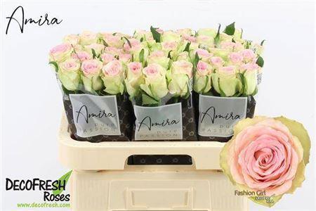 Rosa grootbloemig Fashion Girl