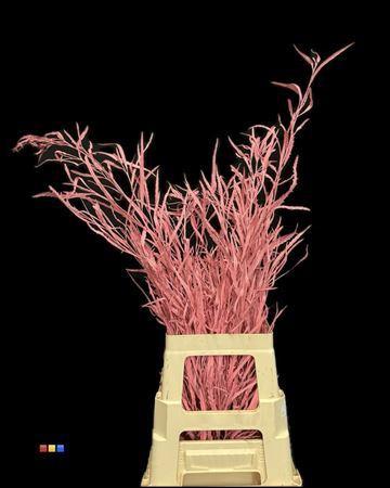 Decoratiegroen kleurbehandeld per bos H%