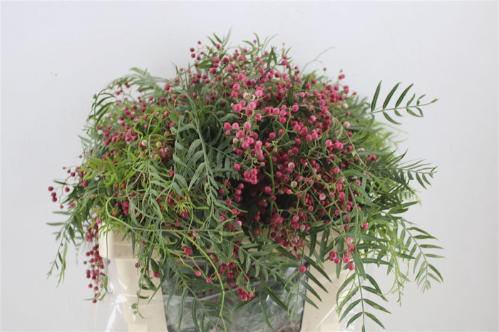 Snijbloemen overig