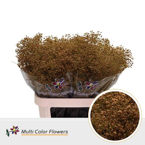 Gypsophila overig kleurbehandeld H%