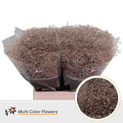 Gypsophila overig kleurbehandeld H%