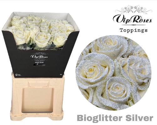 Rosa grootbloemig kleurbehandeld H%