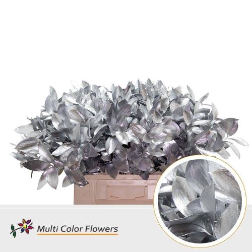 Ruscus kleurbehandeld H%