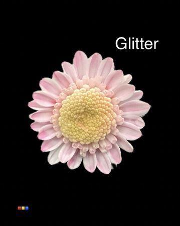 Chrysanthemum Indicum Grp tros kas kleurbehandeld H%