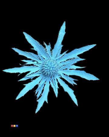Eryngium alpinum kleurbehandeld H%