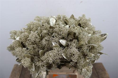 Skimmia per bos overig kleurbehandeld H%