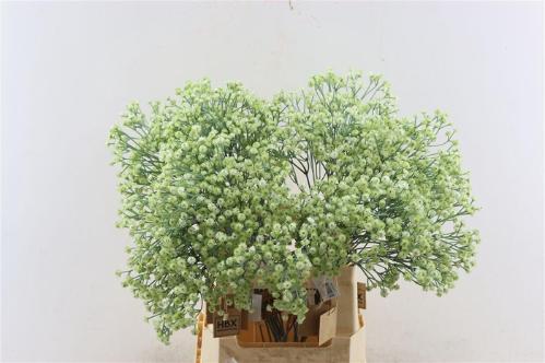 Huis en tuindecoratie overig H%