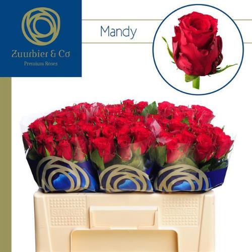 Rosa kleinbloemig Mandy