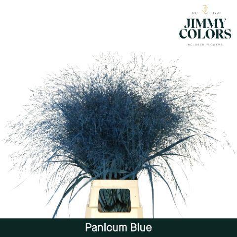 Siergras kleurbehandeld H%
