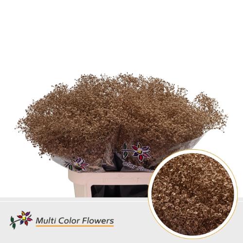 Gypsophila overig kleurbehandeld H%