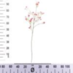 54d28ab5-52dc-463f-9164-078f10cfe2ea.webp