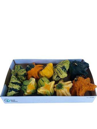Cucurbita pepo 'Flying Saucer'