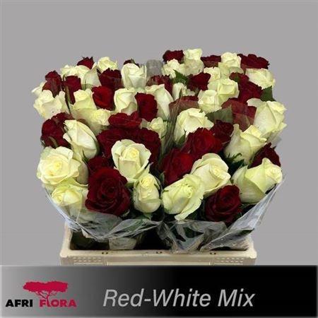 Rosa kleinbloemig gemengd in bos