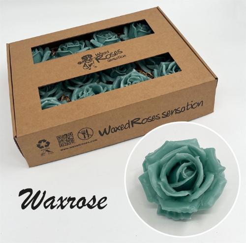 Rosa grootbloemig gewaxt H%