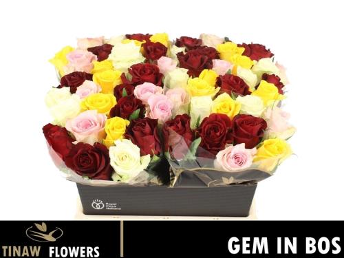 Rosa grootbloemig gemengd in bos